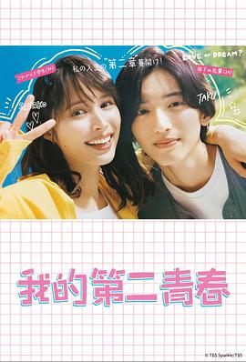 湛江网站优化厂家有哪些